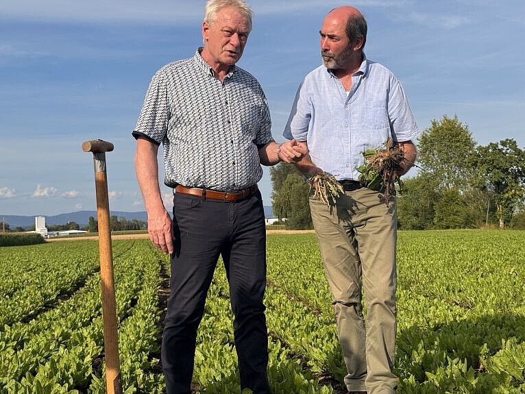Bundeslandwirtschaftsminister Alois Rainer informiert sich im Gespräch mit Dr. Fred Eickmeyer (ESKUSA GmbH) über die Potentiale der Gewinnung von Naturkautschuk aus russischem Löwenzahn (v.l. Alois Rainer, Dr. Fred Eickmeyer).
