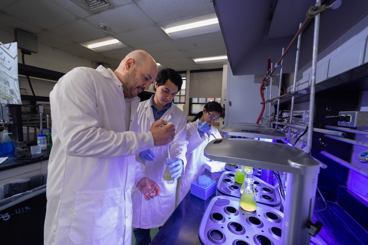 Researchers at The University of Texas at El Paso have shown how nanotechnology can significantly enhance biofuel production from microalgae. The team, led by Hamidreza Sharifan, Ph.D., assistant professor in the Department of Chemistry and Biochemistry (left), includes Luis Salmeron Covarrubias, a senior environmental science major (center), and Kavitha Beluri, a doctoral student in environmental science and engineering.
