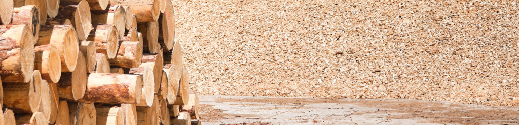 Inside every log, lignin acts as nature’s glue, giving wood its strength and offering industry a renewable alternative to petrochemicals.