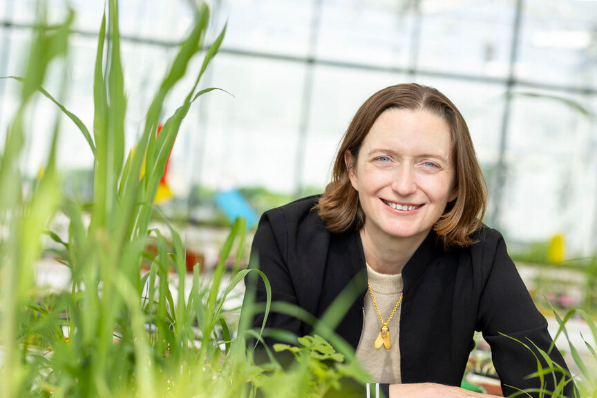 Moa Technology CEO Dr Virginia Corless in the company's glasshouse research facility in North Yorkshire, England