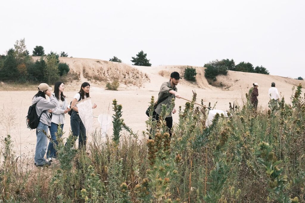 In the RISD x  Hyundai Motor Group Regeneration Studio The Language of Design  in Nature: From Form to Regeneration, students use butterfly nets to collect insects during a field trip to the Big River Management Area in West Greenwich, RI