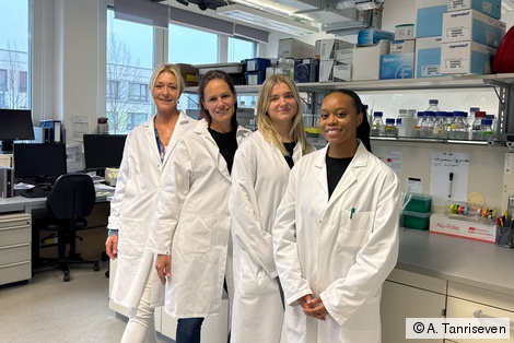 Die Arbeitsgruppe des Sicherheitslabor besteht aus (v.l.) Prof. Dr. Ilona Brändlin (Projektleitung), Verena Linhard (Laboringenieurin), Paulina Kleisa (wissenschaftliche Mitarbeiterin) und Fatima Kargbo (studentische Hilfskraft). 