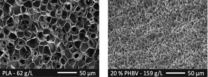 Die Morphologie von geschäumtem Polylactid (PLA, links) und PLA mit 20 M.-Prozent PHBV aus der Gruppe der Polyhydroxyalkanoate (PHA, rechts). Ersichtlich ist der Einfluss des Blendpartners PHBV auf die Dichte und die Zellstruktur des Schaumstoffs, ohne dass weitere Modifikationen vorgenommen wurde