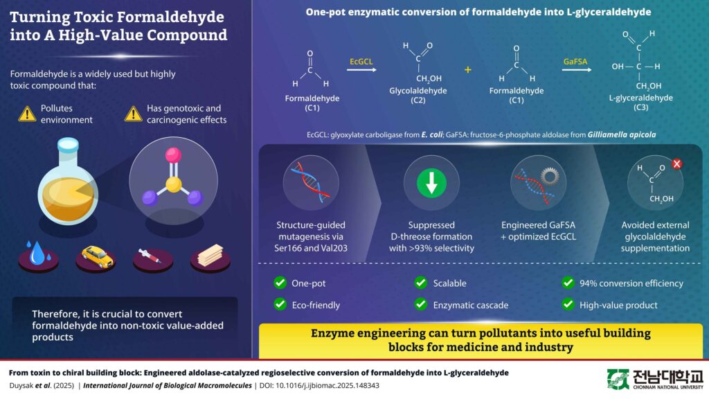 A new enzyme turns the toxin and pollutant formaldehyde into a key pharmaceutical building block, supporting greener chemical manufacturing
