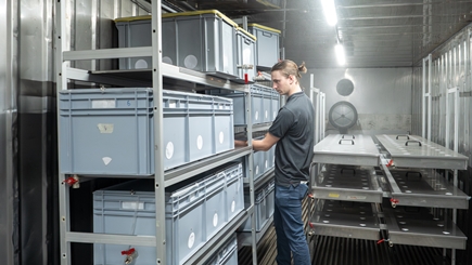Air-conditioned: Lewis Douls checks the boards colonized with the fungus, which are maturing in the climate chamber. 