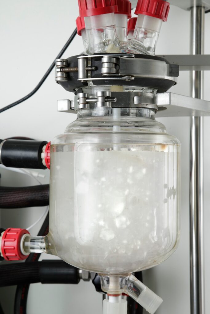 Elea & Lili processing in Lab