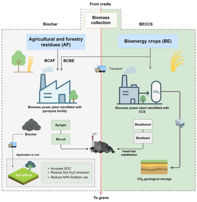 Carbon dioxide removal potential of biochar with biomass supply from bioenergy crops in China
