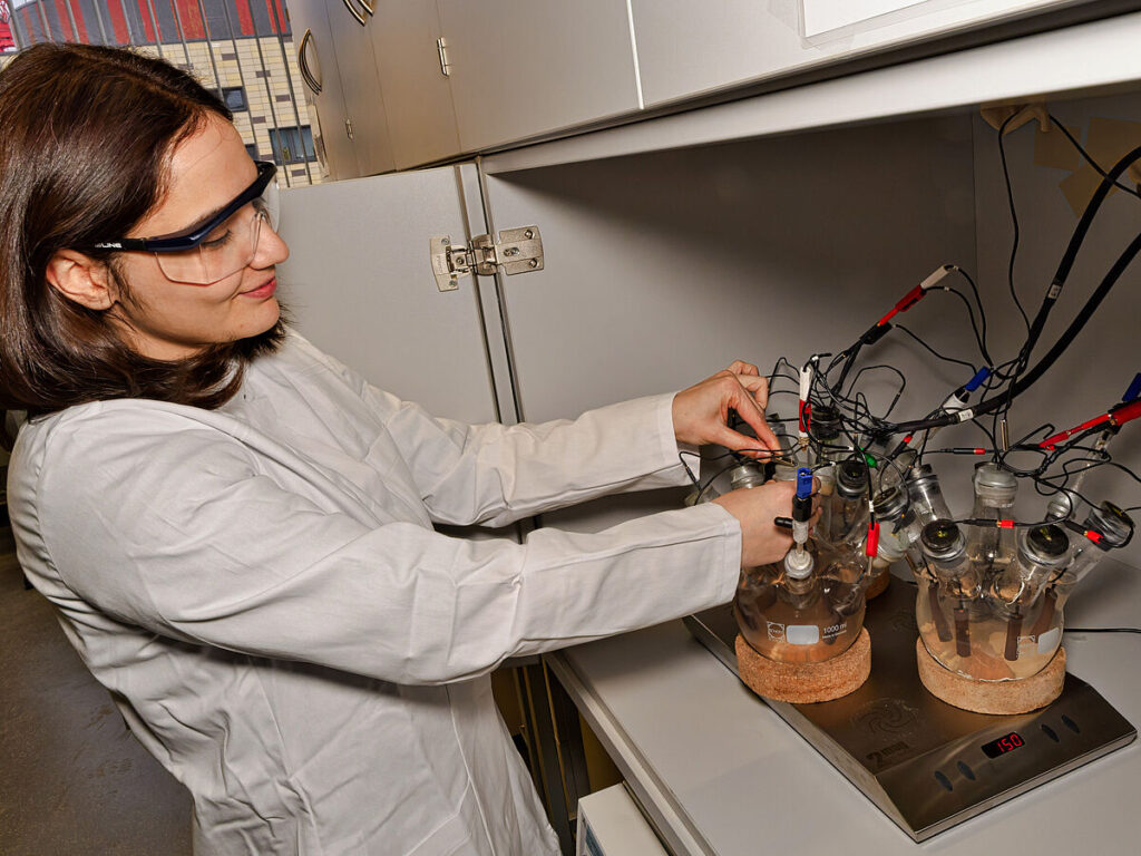 Grundlagenforschung an elektrochemisch aktiven Mikroorganismen in Greifswal