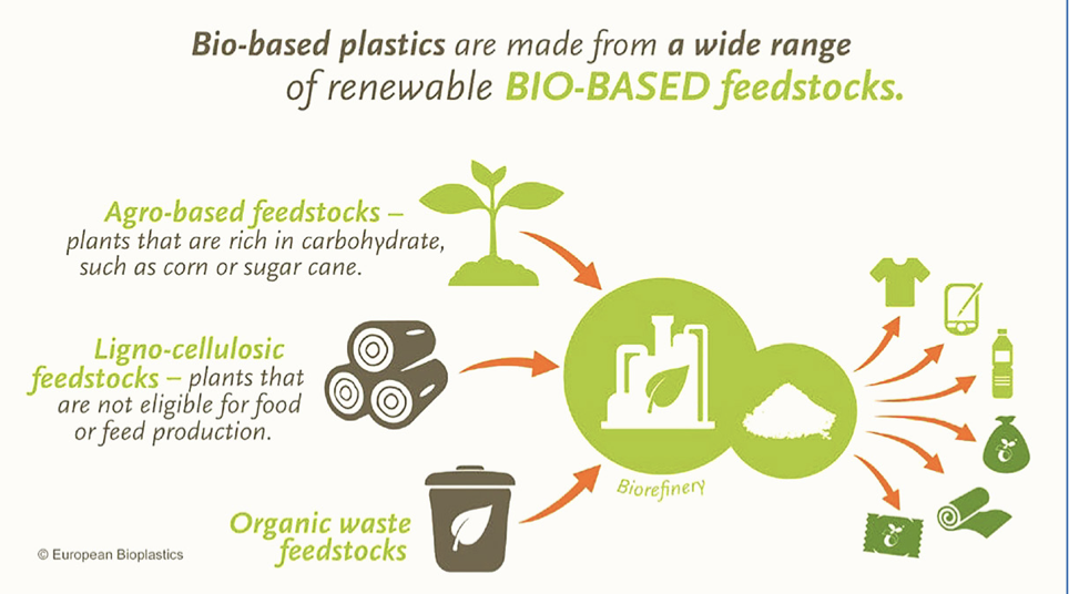 Bio-based plastics are made from a wide range of renewable bio-based feedstocks.