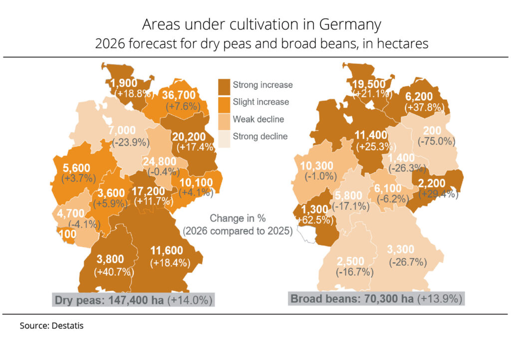 Areas under cultivation in Germany 2026 forecast for dry peas and broad beans, in hectares