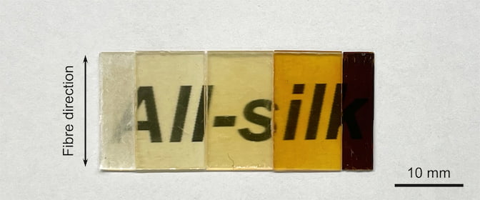 Five silk-derived materials are laid over text to demonstrate how the optical properties of the material change with the temperature and pressure at which the silk fibers are fused. At temperatures above 203 degrees Fahrenheit, the silk fibers are more completely fused, and the materials become transparent. As the temperature and pressure increase, the materials acquire an amber color, then become opaque at temperatures above 473 degrees Fahrenheit. PHOTO: Qichen Zhou, Imperial College London.