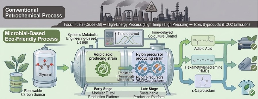 Schematic Diagram