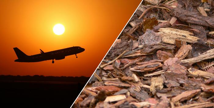 According to a study by Chalmers University of Technology, EU regulations could lead to the inefficient use of biomass for the production of sustainable aviation fuels.