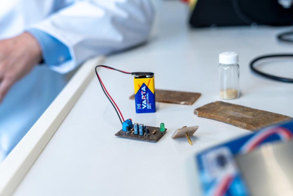 Leiterplatte aus Pilzmyzel für den Test der Funktionsfähigkeit. Nach der Verwendung kann die Leiterplatte kompostiert werden ohne, dass die Transistoren beschädigt werden.