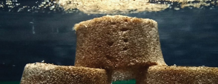 Dank den Biofasern konnten die Sandproben ihre Form besser halten und das Wasser länger behalten.