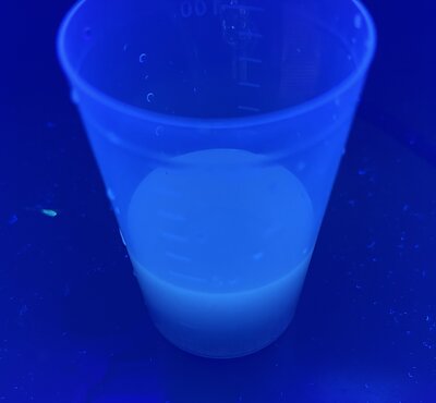 Quantum Dots made from Sargassum Waste under UV Light