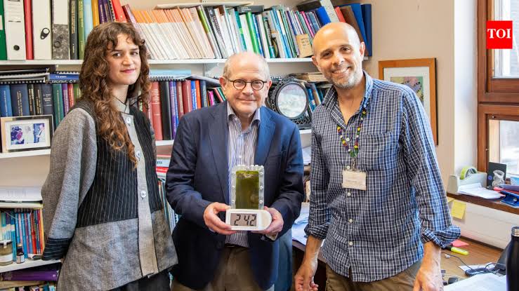 Lucia Giron, Chris Howe, and Paolo Bombelli with their algae-powered digital clock