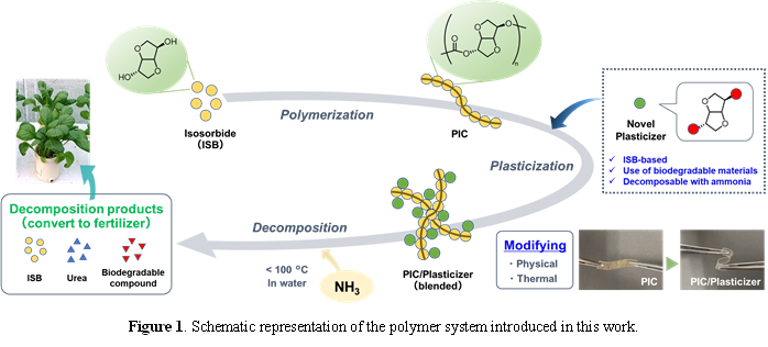 A poly(isosorbide carbonate) (PIC) plastic made from isosorbide (ISB) units was combined with an ISB-based plasticizer to improve flexibility. Ammonia treatment transformed the plastic into fertilizer components that supported plant growth.