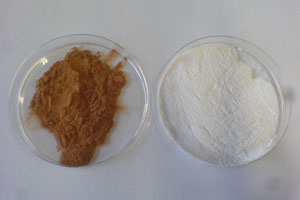 Die nachwachsenden Rohstoffe Lignin (braun) und Zellulose (weiß). Quelle: Ricarda Böhm
