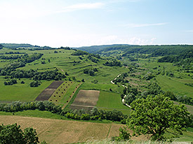 59933_2_Heterogeneous-farming-Southern-Transylvania_Tibor-Hartel_275px