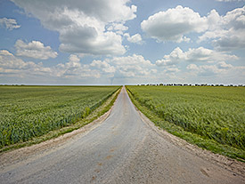 59934_5_Homogeneous-arable-land_Germany_Querfurt-Plate_Andre-Kuenzelmann-UFZ_275px