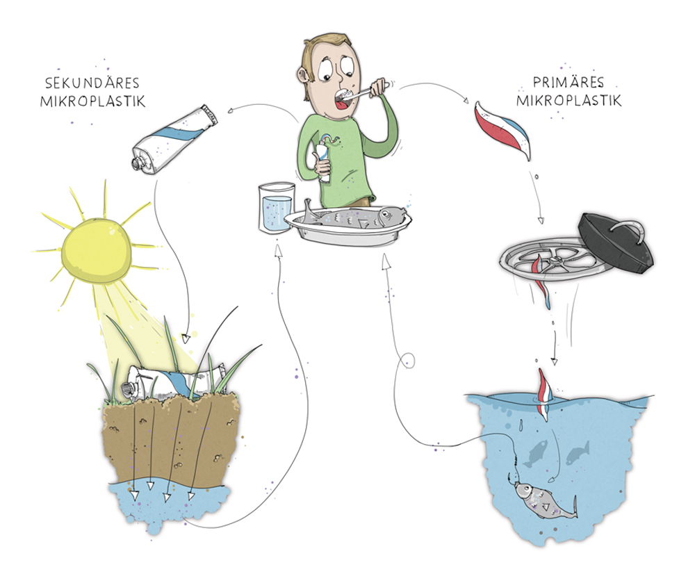 Der Weg von primärem und sekundärem Mikroplastik in unserer Nahrungskette.