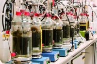 Investigations on the fermentability of organic substrates. Photo: Fraunhofer IGB.