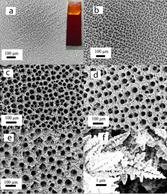 A foam of copper Copper is the only metal that can reduce CO2 to useful hydrocarbons. A foam of copper offers sponge-like pores and channels, providing more active sites for CO2 reactions than a simple surface. Credit: Palmore lab/Brown University