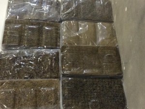 Image of guayule bale being used to fulfill USDA BRDI grant.