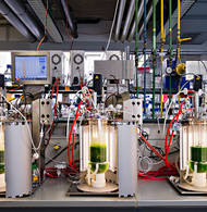 Laborbank mit LED-Biorekatoren - Bild: Andreas Heddergott / TUM