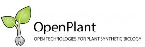 open-plant-2-300x97
