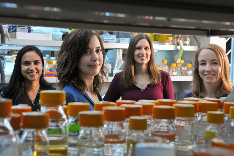 Research team members: (from left) postdoctoral researcher Isis Trenchard, assistant professor of bioengineering Christina Smolke, chemistry graduate student Stephanie Galanie and research associate Kate Thodey Source: Rod Searcey