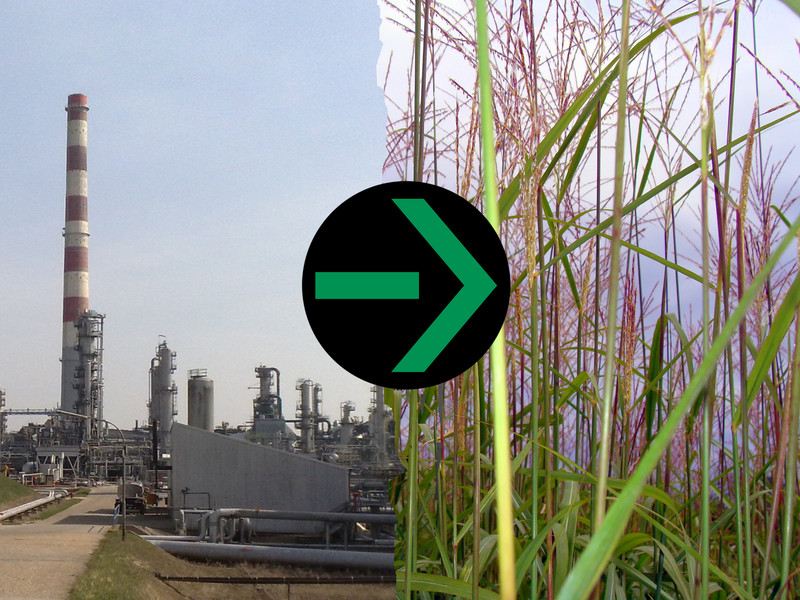 Biomasse statt Erdöl | Bildquelle: Universität Hohenheim / PD