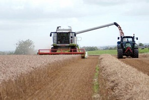 Residues-from-agriculture-photo-BioVale