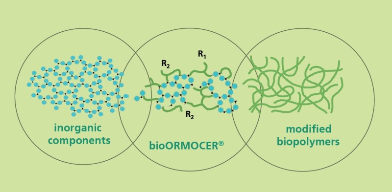 Die neue Materialklasse der bioORMOCER®e vereint Barriereeigenschaften von konventionellem Plastik mit zeitlich steuerbarer biologischer Abbaubarkeit. Quelle: Fraunhofer ISC