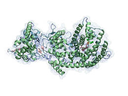 csm_160607_Biosynthesis_Taxadien_900_bc1552a5df