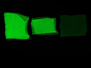 Machbarkeitsstudie – Textilien auf Cellulosebasis wurden mit einem grün-fluoreszierenden Markerprotein + Cellulose-Anker ausgerüstet. Baumwolle (links), Viskose (mitte), Negativkontrolle = grün-fluoreszierendes Protein ohne Cellu-lose-Anker (rechts). © Foto Hohenstein Institute