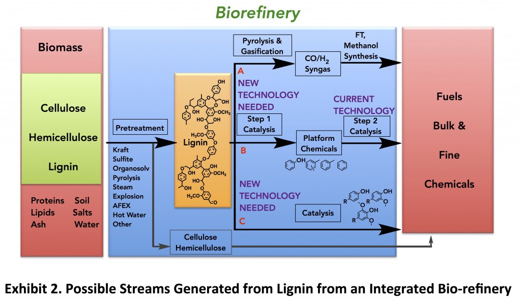 lignin-2