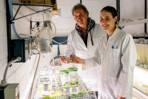 Thomas Happe und Anne Sawyer suchen nach effizienten Wegen für die biotechnolgische Wasserstoffproduktion. © RUB, Kramer