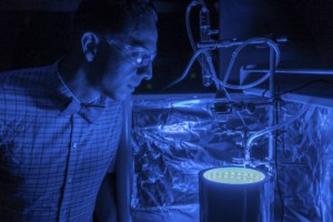 UCF Assistant Professor Fernando Uribe-Romo has found a way to trigger the process of photosynthesis in a synthetic material, turning greenhouse gases into clean air and producing energy all at the same time. Credit: UCF