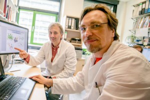  Martin Winkler (rechts) und Thomas Happe (links) haben einen flüchtigen Zwischenzustand eines Enzyms dingfest gemacht. © RUB, Marquard