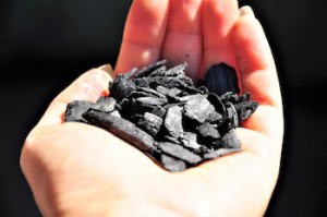 Biochar could reduce local air pollution from agriculture by reducing emissions of nitric oxide from soil, according to Rice University researchers. Courtesy of Ghasideh Pourhashem