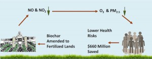 Using biochar to cut emissions of nitric oxide (NO) and nitrogen dioxide (NO2) would lower ozone and particulate matter levels in urban areas near farmland and save lives and money, according to Rice University researchers. Illustration by Ghasideh Pourhashem