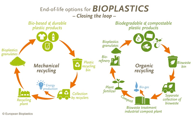 how should you dispose biodegradable and nonbiodegradable materials