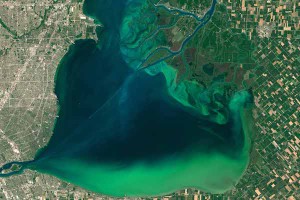 Cyanobacteria are abundant on Earth and can thrive in many areas which are hostile to plants, like this bloom on Lake Erie. By NASA/Public Domain. 