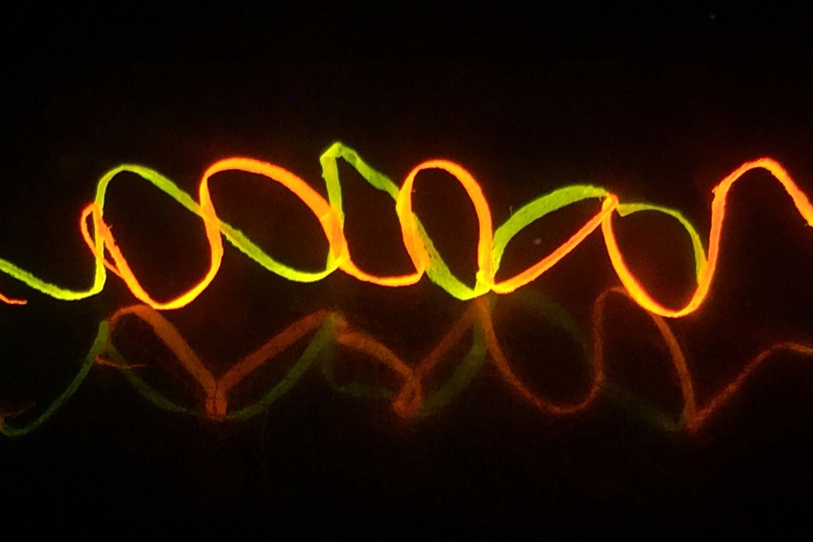 A photograph shows regenerated helical silk fibers colored by Rhodamine dyes, under UV light. (Credits: Courtesy of the researchers)