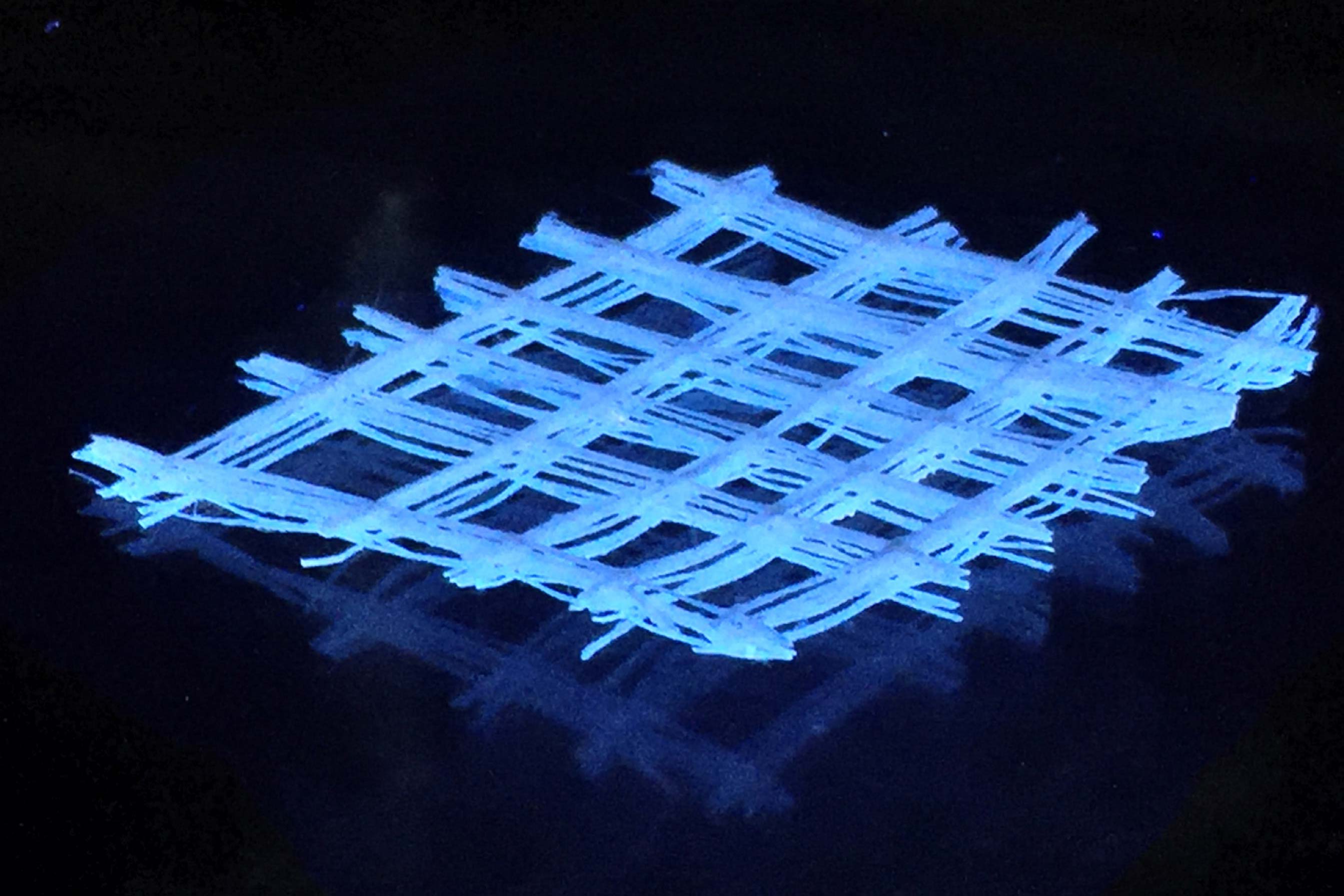 A photograph of a regenerated 3-D silk fiber mat under UV light. (Credits: Courtesy of the researchers)