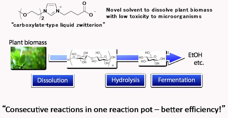  Figure 1. Novel solvent, carboxylate-type liquid zwitterion, for plant biomass, developed in this study 