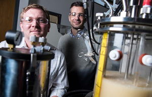 NREL researchers Calvin Henard and Michael Guarnieri are members of a team that set out to discover how a methane-eating organism known as a methanotroph operates. (Photo by Dennis Schroeder/NREL) 