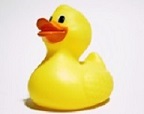 rubber-duck-Agi-Nyeki-1